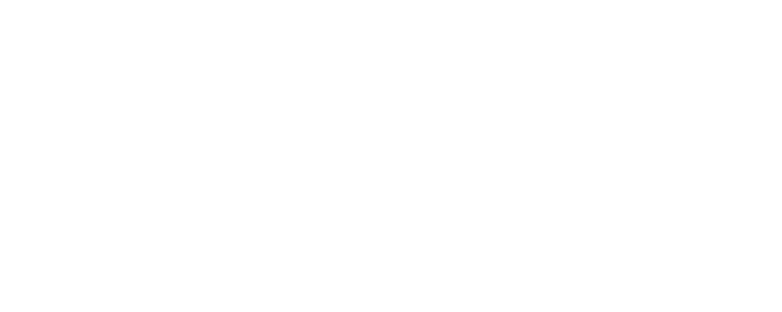DLR Sports PARTNERSHIP lOGO